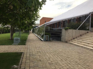 carp_blanc_transp-300x225